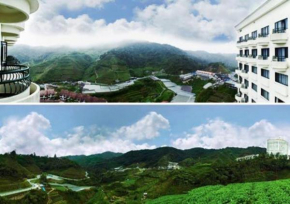 Cameron Highland KEA FARM
